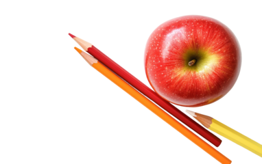 Flat lay display of educational classroom items with colorful stationery tools symbolizing creativity productivity and school preparation isolated on transparent background PNG