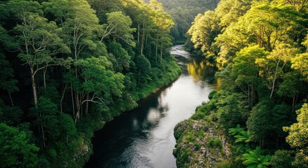 Lush Green River Valley - A Serene Natural Landscape.