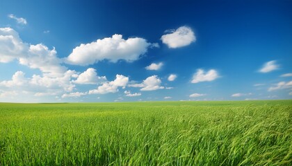 Macro Summer Sky White Clouds Blue Sky Green Field Detail