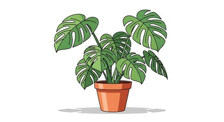 Fototapeta premium Lush green monstera plant in terracotta pot bringing tropical vibes indoors