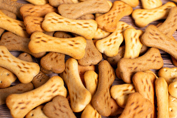 Dog food in different variations