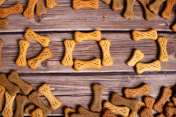 Dog food in different variations