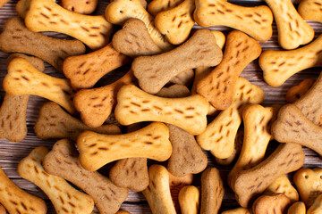 Dog food in different variations