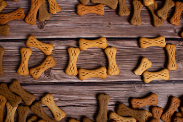 Dog food in different variations