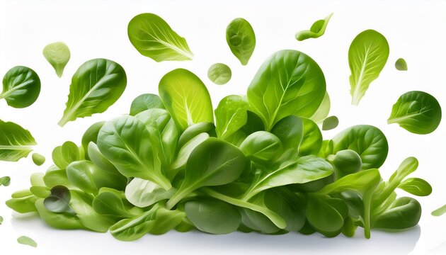 Falling Fresh Green Lambs Lettuce Leaves Isolated On Transparent Background