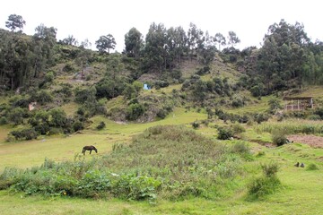 Pre-Hispanic Inca ruins at Intihuatana Archaeological Complex in Ayacucho, Peru.
