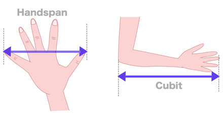 Cubit, handspan. Body parts to measure the length. Distance between the tip of the elbow to the tip of the middle finger is called a cubit. Thumb and the little finger is called a hand span. Vector 