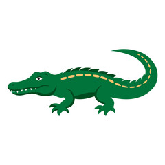 crocodile isolated on white