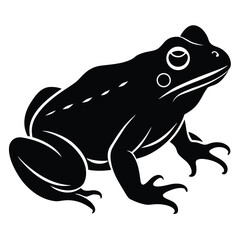 toad or frog vector icon