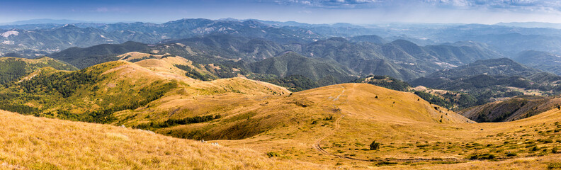Fototapeta premium Scenic view of rolling hills covered with dry grass and green forest under blue sky with clouds in summer
