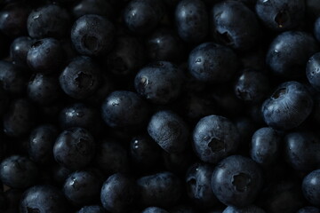 Fresh blueberries close-up. Ripe blue berries with natural texture and soft light. Healthy organic food background for nutrition, cooking, and diet concepts.