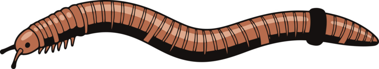 Illustration of a brown earthworm with a band around its body, rendered in pixel art style. The worm is depicted in a curved shape, showing detail and texture.