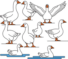 A vibrant illustration showcases a diverse collection of geese in various poses. Nine adult geese are depicted in dynamic stances, including standing, walking, and with wings outstretched. 