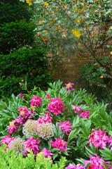 Flowers at Springfields Festival Gardens, Spalding, Lincolnshire, Great Britain