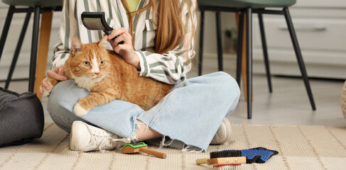 Woman brushing cute cat on carpet at home
