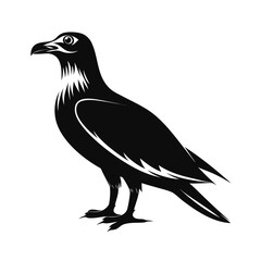 Bold silhouette of a large seabird standing