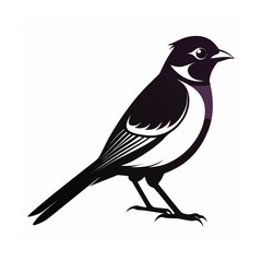 A bulbul bird perched quietly in silhouette