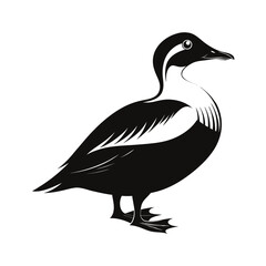 Common eider duck standing on shore silhouette