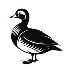 Bold silhouette of a duck standing in calm water