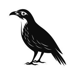 Elegant flightless bird silhouette in side profile