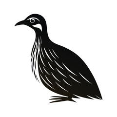 Elegant giant flightless bird side profile illustration
