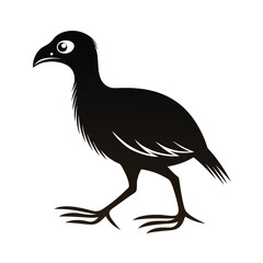 Graceful giant flightless bird silhouette walking