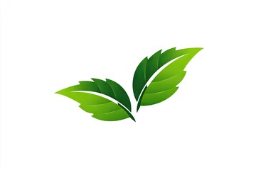 Two stylized green leaves against a white background.