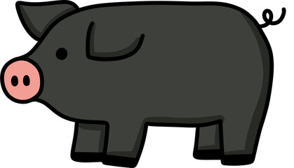 black pig
