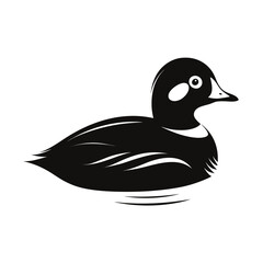 Elegant harlequin duck silhouette swimming gracefully