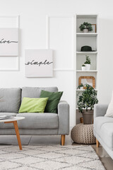 Grey sofa, houseplants, picture and shelving unit in modern living room
