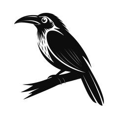 A jay bird perched on a tree branch in silhouette