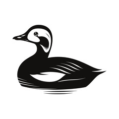 Bold silhouette of a king eider swimming calmly