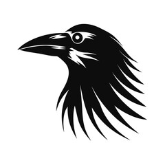 Obraz premium Black rook bird head silhouette profile with visible beak