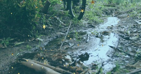 Revealing muddy dirt path featuring water puddle at forest edge, with bicycle wheel, star overlays