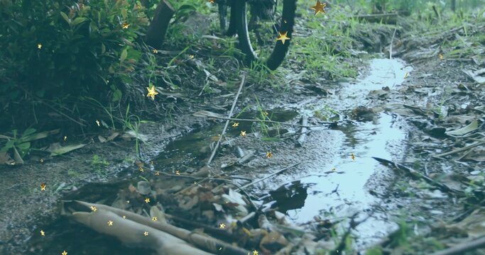 Fototapeta Revealing muddy dirt path featuring water puddle at forest edge, with bicycle wheel, star overlays