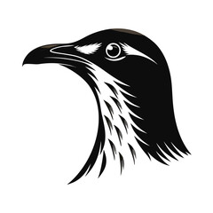 Detailed silhouette of a small flightless bird head