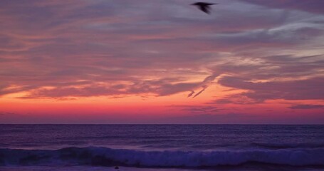 Ocean beach sunriset color sky clouds and sun rays over sea waves, ocean sunrise landscape
- Powered by Adobe