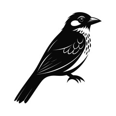 Elegant songbird head silhouette for advertising and banners