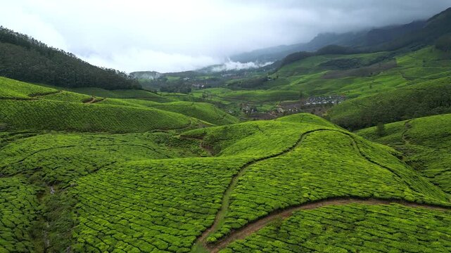 Lush Green Hills and Valleys of Munnar, India &ndash; Drone View