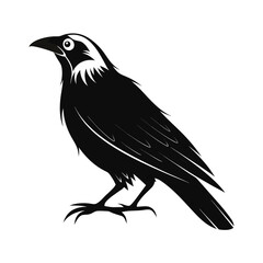 Obraz premium Elegant manakin silhouette bold design