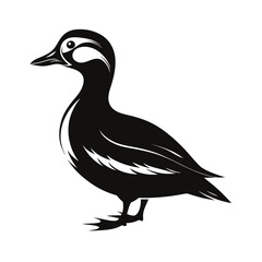 Medium sized duck standing calmly in bold silhouette