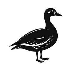 Medium sized duck standing calmly bold silhouette