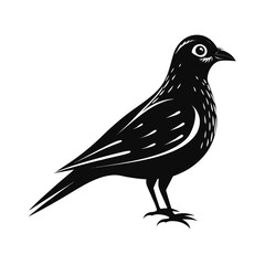 Medium sized flightless bird in side profile illustration