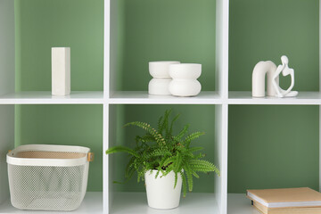 Houseplant, vases and books on shelving unit near green wall in room, closeup