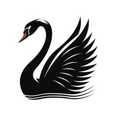 Elegant mute swan silhouette gliding on white background