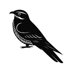Camouflaged nightjar bird silhouette in striking detail