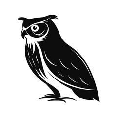 A nocturnal owl perched silently in striking silhouette