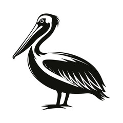 Graceful pelican silhouette standing on a white background