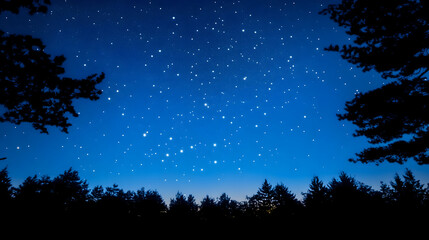 Fototapeta premium Night sky over forest