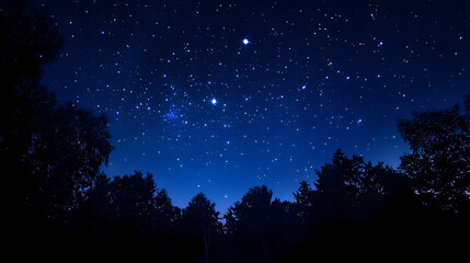 Naklejka premium Starry night sky over trees